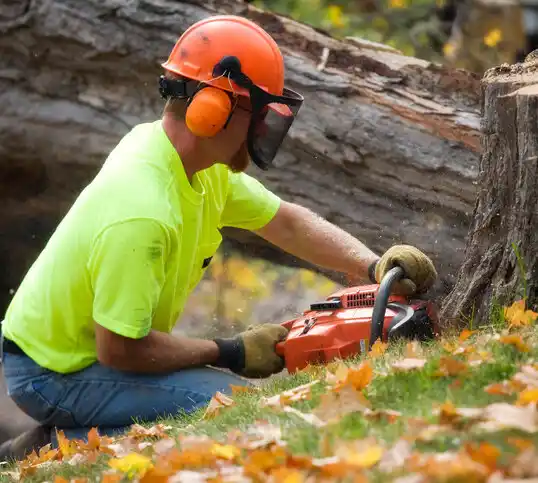 tree services Beatty